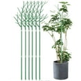 SPRING Plant Supports Trellis for Indoor Plants Detachable Twig Plant