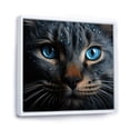 thumbnail image 2 of Designart "Feline Azure Gaze Reflection" Animals Cat Floater Framed Wall Art Living Room, 2 of 5