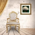 thumbnail image 3 of Lavoie, Tina 20x20 Gold Ornate Wood Framed with Double Matting Museum Art Print Titled - Poppy In Verdigris And Rust II, 3 of 4