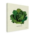 thumbnail image 2 of Trademark Fine Art 'Linen Vegetable II v2' Canvas Art by Studio Mousseau, 2 of 3