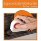 thumbnail image 5 of Groove Cleaning Brush Window 3pcs, Multifunction Hard Bristle Window Track, 5 of 5
