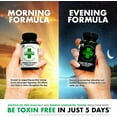thumbnail image 3 of Rescue 5 Day Permanent Detox Best Detox Capsules, 3 of 7