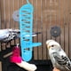thumbnail image 4 of CHICHUMID Food Rack Parrot Blue Plastic Durable Bite Resistant with Safety Lock for Pet Birds, 4 of 8