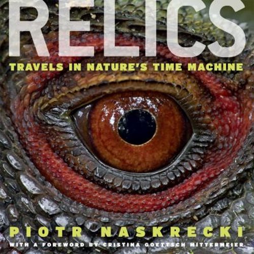 Pre-Owned Relics: Travels in Nature's Time Machine (Hardcover) 0226568709 9780226568706