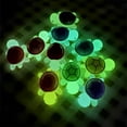 thumbnail image 5 of 100-Pack Tiny Resin Animals, Glow in The Dark Party Supplies Sized 0.7*1.1Cm with Assorted tones, Great for Fairy Birthday decorations, Aquarium Supplies, and Mini Fairy Garden, 5 of 5
