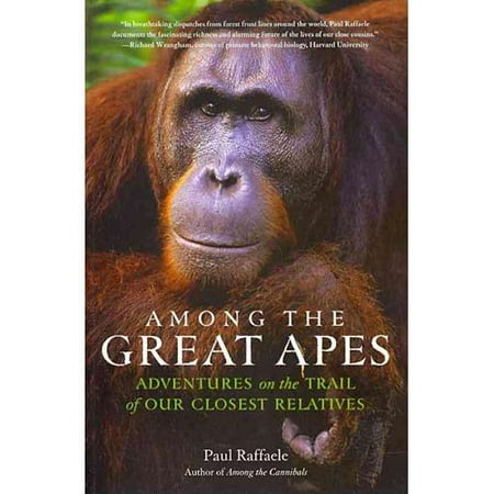 great apes great apes
