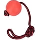 thumbnail image 3 of Pelota de juguete para perros sobre una cuerda de caucho natural CoscoSx, 3 of 12