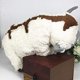 thumbnail image 4 of JTLB Avatar Last Airbender Appa Plüsch Spielzeug Appa Kuscheltier kühe stofftier Appa Plüsch gefüllt Tiere Anime Kuscheltier, Kawaii Kissen Plüschtier Zhivalor LL-0782, 4 of 7