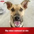 thumbnail image 6 of Sulfodene Ear Cleaner Antiseptic Solution for Pet Ear Care, 4 Fluid Ounce, 6 of 9