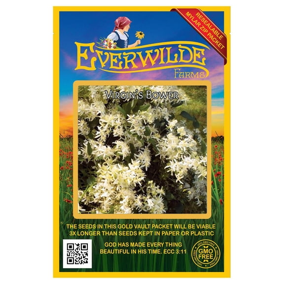 Everwilde Farms - 150 Virgin's Bower Native Wildflower Seeds - Gold Vault Seed Packet