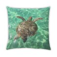 thumbnail image 2 of Ahgly Company Animals Turtle Indoor Throw Pillow, 18 inch by 18 inch, 2 of 6
