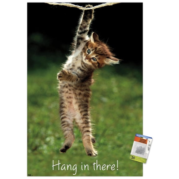 Famous Kitten Hang In There Poster Wall Poster with Push Pins, 22.375" x 34"