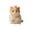 B002- B, variant on Novelty Relaxation Gift, Cat Relaxation, Sensory Squeeze Toys, Relaxation Squeeze Toys, 1Pc 9Cm 3.5X2X2 Inch Chubby Lace Collar Blue White Cat Squeeze for Office School Pocket
