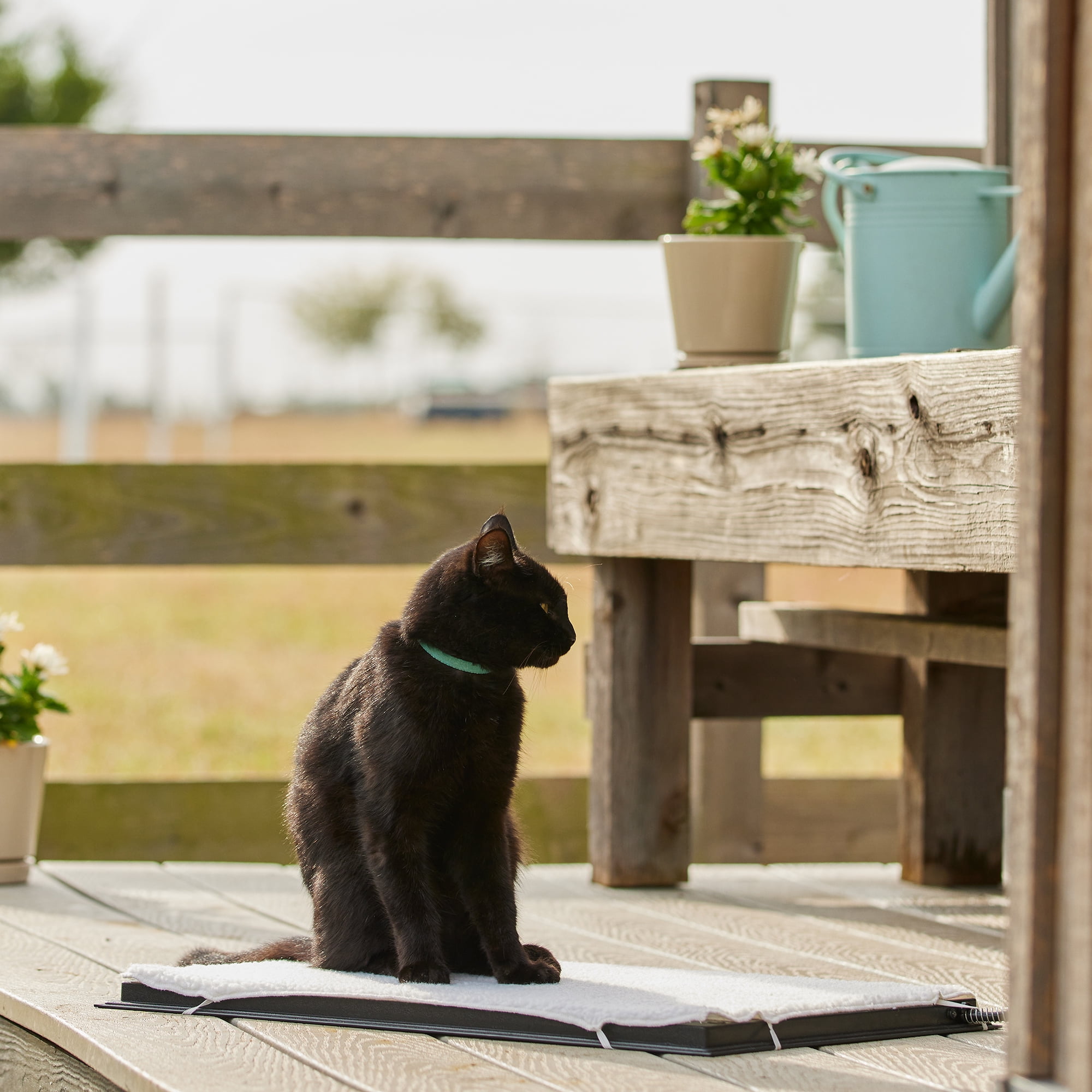 Farm innovators heated pet mat 2025