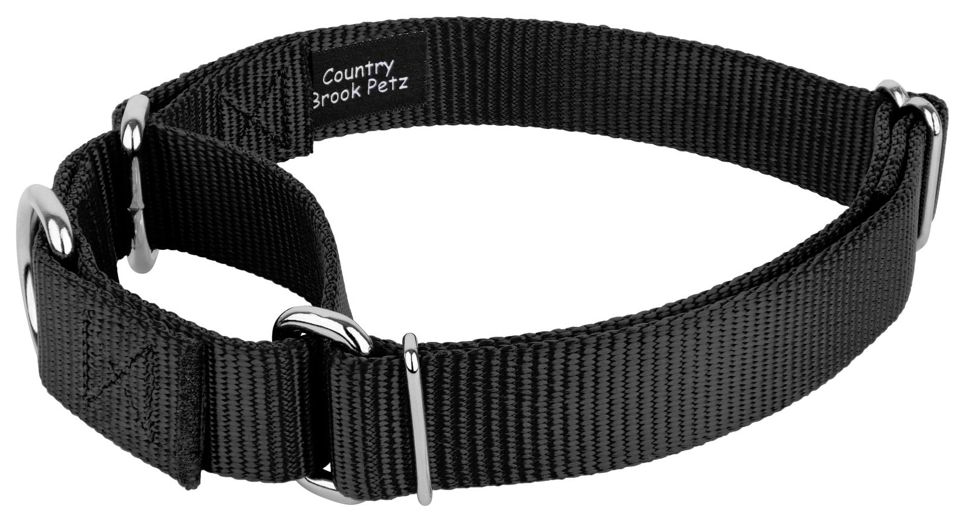 Country Brook Design&reg; Martingale Heavyduty Nylon Dog Collar/Double Handle Leash