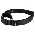 thumbnail image 5 of Country Brook Design&reg; Martingale Heavyduty Nylon Dog Collar/Double Handle Leash, 5 of 7