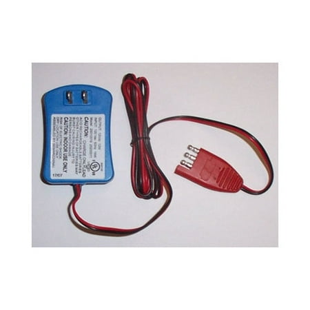 Big Toys Toys Toys 12V Charger
