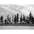 thumbnail image 2 of Plank, Savanah 32x25 Black Ornate Wood Framed with Double Matting Museum Art Print Titled - Pines, 2 of 4