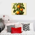 thumbnail image 3 of Vintage Fruit Art Prints - Kitchen Botanical Prints  - Farmhouse Wall Pictures - Unframed 20×16in, 3 of 3