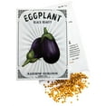 Eggplant Seeds for Planting STF9 Black Beauty Variety (1g Packet