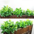 thumbnail image 2 of Plantas en maceta simuladas Billuyoard Decoración Más lavabo Negro, 2 of 6