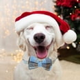 thumbnail image 5 of Collares navideños para perros con copos de nieve para gatos y mascotas pequeñas, medianas y grandes, 5 of 5