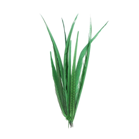 Zucker Feather Products Pheasant Tail Feathers Assorted Bleached - 16-30" - 10 pcs - Kelly