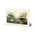 thumbnail image 1 of John James Audubon Plaque en Bois Piment Solitaire, 1 of 1
