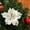 White-WH-clearacne, variant on OEFNTAC Decorations Christmas Glitter Magnolia Flowers Artificial Stems for Tree Wreath Holiday Gift Decor 9.4x9.4in Xmas Decorations