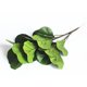 thumbnail image 5 of Adorno de hojas de plantas verdes de simulación, accesorios de hojas de árbol, ramas de Ficus Pandurata Hance, accesorios de fotografía, manualidades DIY para decoración del hogar (verde), 5 of 6