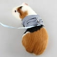 thumbnail image 3 of Ferret Harness,Small Animals Outdoor Walking Vest Harness with Lead Leash Set, 3 of 5