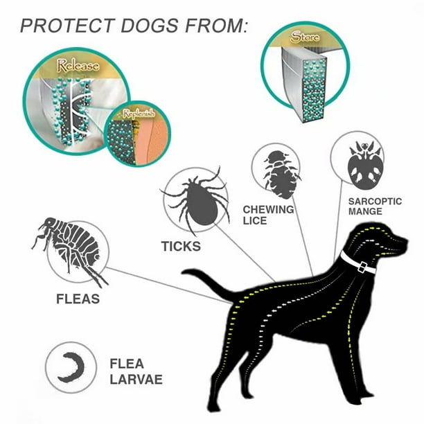 VicTsing Dewel Dog Collar Anti Flea Mosquitoes Ticks Insect Waterproof Herbal Pet Collar 8 Months Protection Dog Accessories