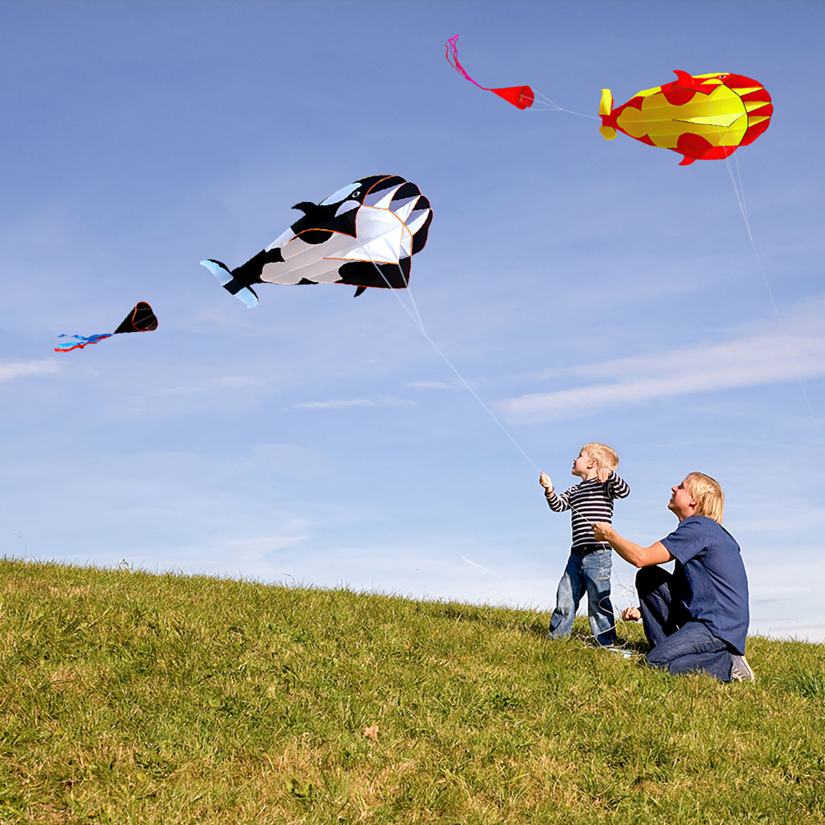Private Jungle 2Pack RED/BLACK/BLUE 3D Cartoon Whale Kite Frameless Soft Parafoil Whale Family Outdoor Sports Toy Children Private Jungle 2Pack RED/BLACK/BLUE 3D Cartoon Whale Kite Frameless Soft Parafoil Whale Family Outdoor Sports Toy Children