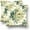 Green&beige, variant on Black White Pillow Covers Set of 2 Grey Floral Throw Pillow Cover Soft Velvet Modern Accent Gray Peony Flower Decorative Couch Cushion Cover for Bed Living Room Chair Sofa Pillow Cases 20x20 Inch