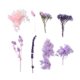 thumbnail image 2 of Dried Flowers DIY Candle Soap Making Accessories with Plastic Rectangle Box Purple 7.6~15x1~11.2cm, 2 of 2