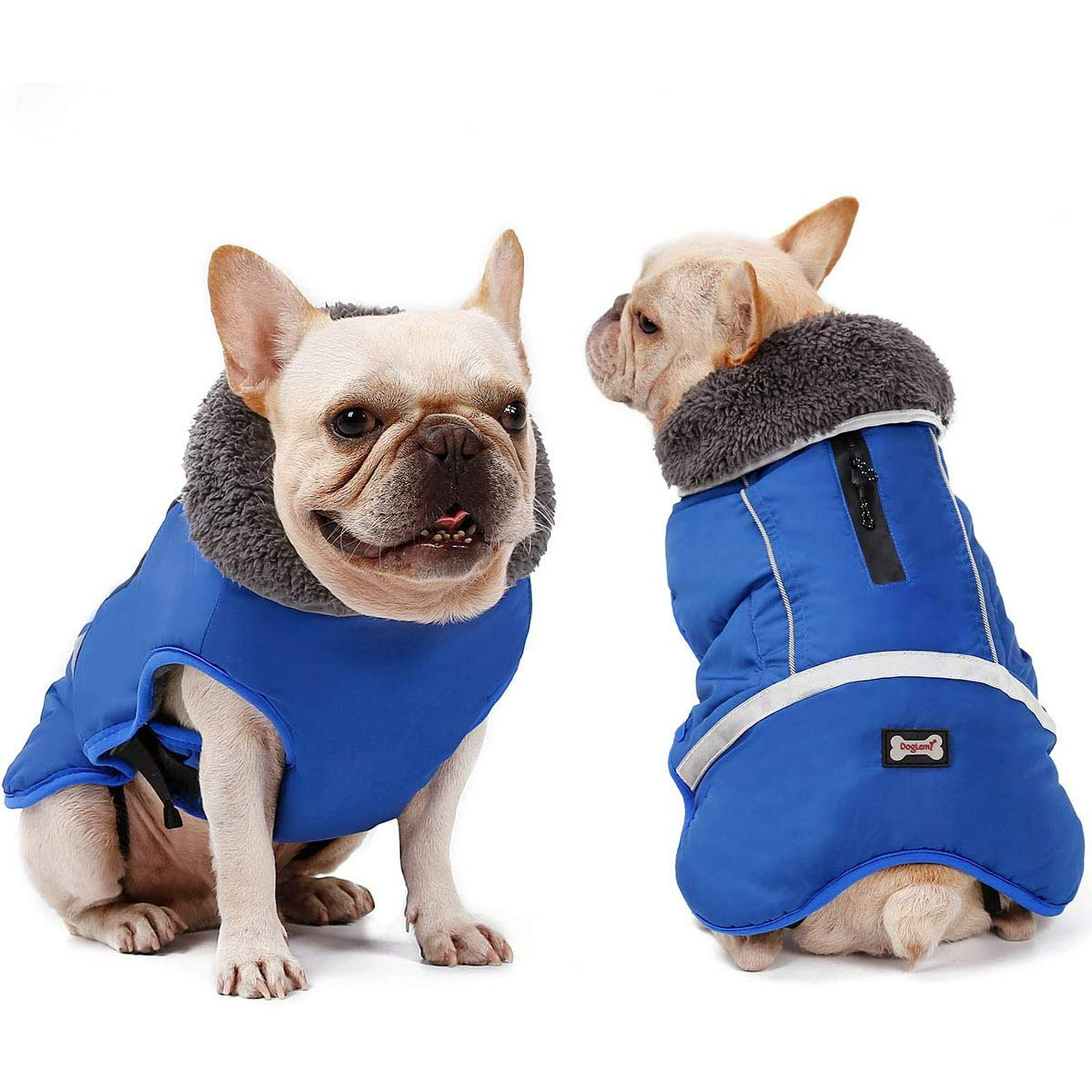 Why Does My Puppy Feel So Warm