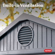 Keter Darwin 6 by 8 Foot Outdoor Garden Tool Storage Shed, Graphite Gray