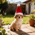 thumbnail image 6 of Adjustable Pet Santa Hat Christmas for Cats Dogs,7.8Inch Soft Plush Red Santa Hat with Pom Pom, Holiday Party Outfit for Small Dogs Cats, Christmas Photo Prop Accessory 1PC, 6 of 7