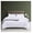White, variant on KriKac Light Grey Comforter Queen Size Solid Silver Gray Comforter Bedding Sets Queen for Women Men Boys Girls Teens Pale Grey Queen Comforter Sets Light Gray Ultra Soft Bedding Quilts Queen