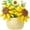 Sunflower 162pcs, variant on Mini Flowers Building Block Set,Flower Blocks Toys,Plants and Succulent Toys,Building Block Flowerpot，Botanical Collection Birthday Gift for Girls Boys Adults (Narcissus 166Pcs)