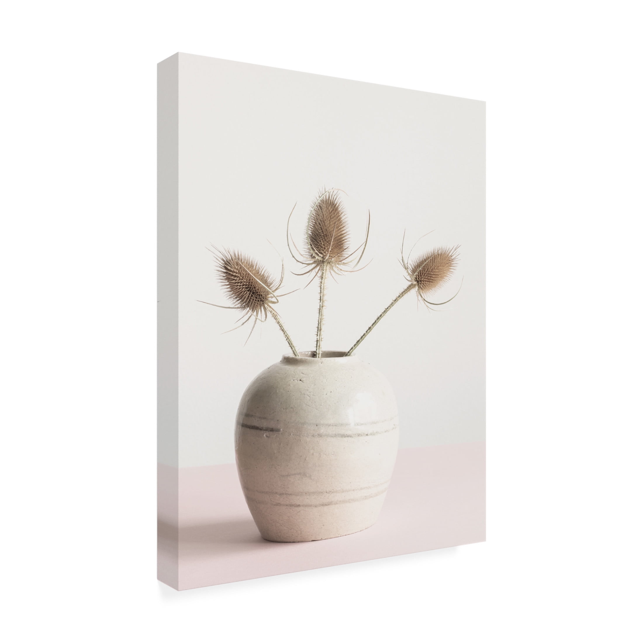 Trademark Fine Art Pictufy Studio Dried Flowers In Vase Canvas Wall Art