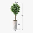 thumbnail image 5 of Artificial Tree in Modern Granite Effect Planter, Fake Ficus Silk Tree for Indoor and Outdoor Home Decoration - 75" Overall Tall (Plant Pot Plus Tree), 5 of 5