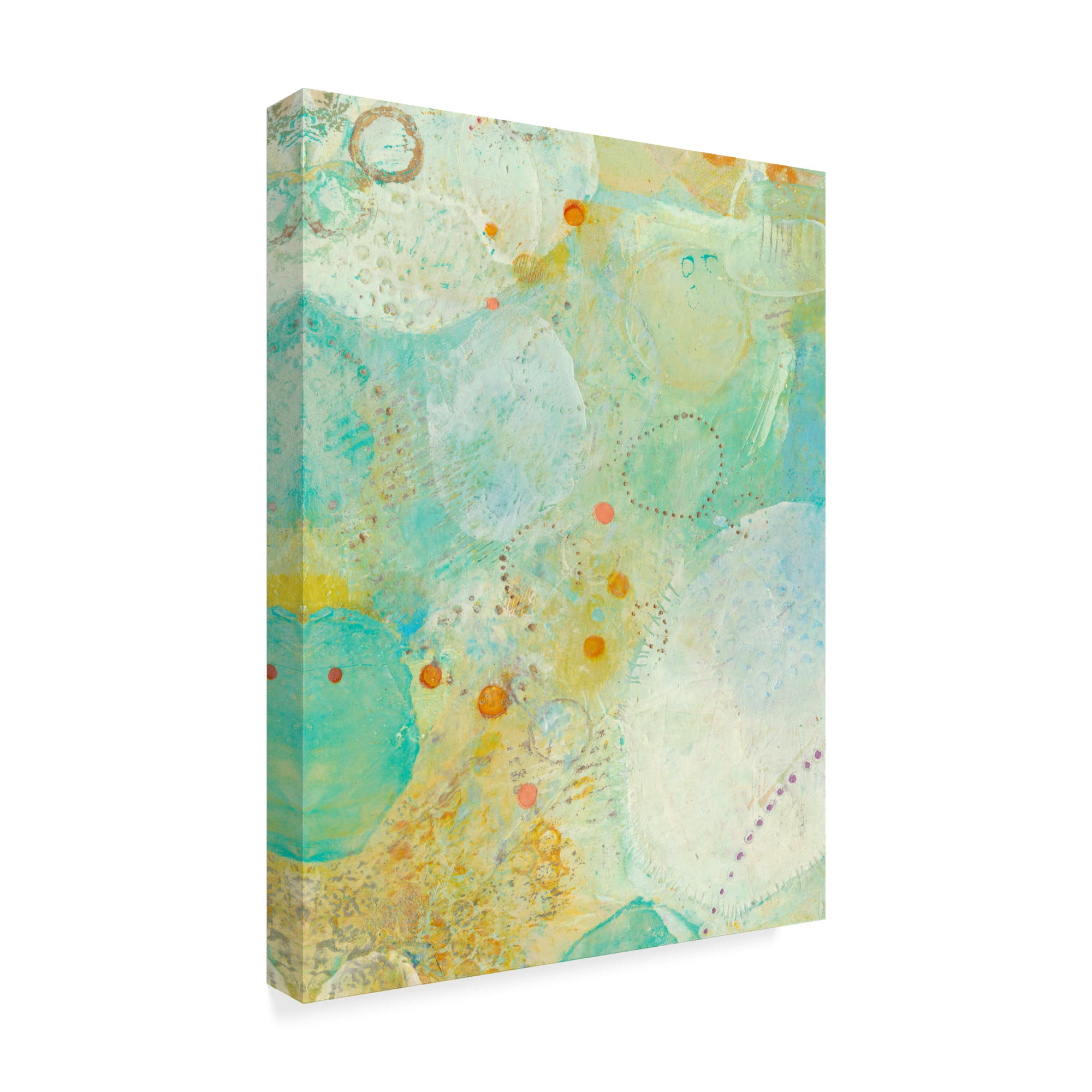 Trademark Fine Art 'Wim III' Canvas Art by Sue Jachimiec