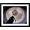 Black Frame, variant on Art.com Interior Rotunda US Capitol Building Photo by Carol Highsmith, 16" x 12"