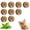 Brown 9pcs, variant on Cat Toy Faux Rabbit Fur Ball, 2026 New Rabbit Fur Ball Cat Toy Soft Fluffy Cat Toy Ball,Fluffy Faux Fur Cat Toys for Indoor Play, Washable Fun to Chase for Exercise and Bonding