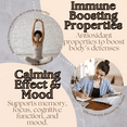 thumbnail image 3 of Research Labs Organic Lions Mane Supplement Capsules, 2 Fer 1 Ad - 240 Capsules w/Patent Litropane™ Immune System Booster Nootropic Brain Support Mushroom Supplement. 10X Extract comparable 18000mg, 3 of 9