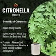 thumbnail image 2 of Eco Fuego Fire Pit Wax Refill - Biodegradable Vegetable Wax, Sustainable and Clean Burning. Each Refill Lasts up to 8 Hours – Citronella (Pack of 2), 2 of 6