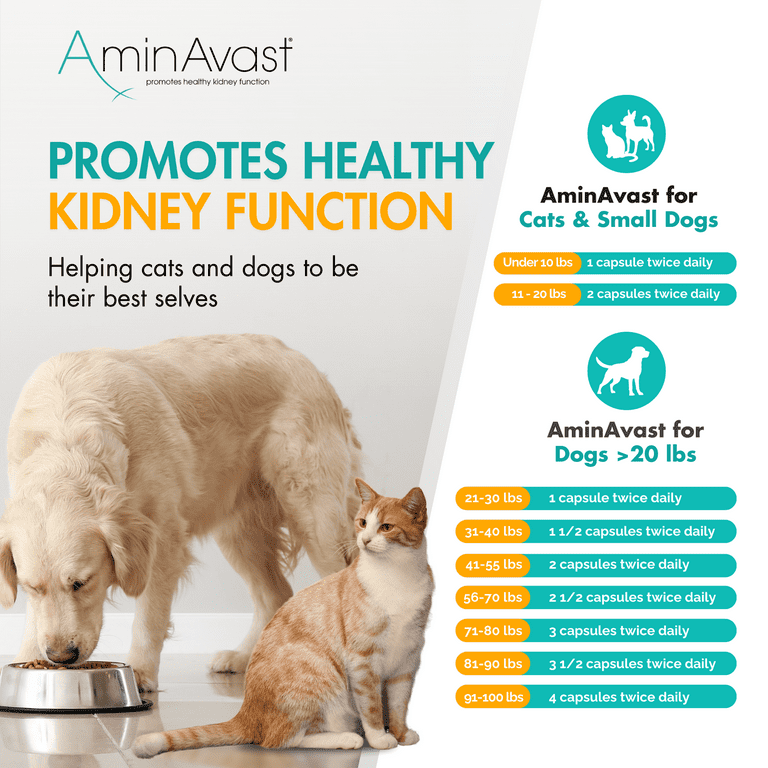 AminAvast Kidney Support Supplement for Cats and Dogs, 60