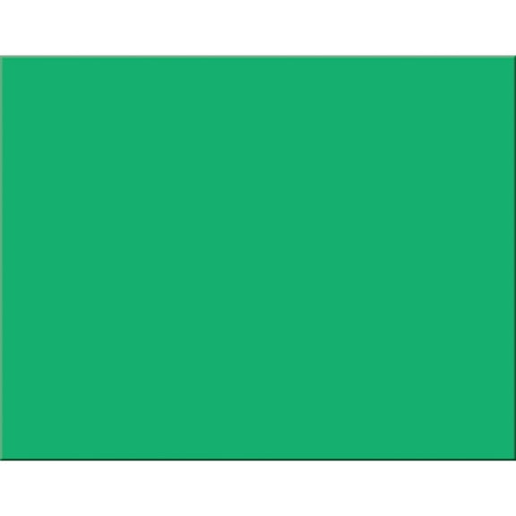 Pacon® Railroad Board, 4-Ply, 22" x 28", Holiday Green, Pack of 25