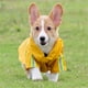 thumbnail image 2 of Chubasquero para perros con agujero para arnés, chaqueta impermeable con tira reflectante, chubasqueros para mascotas para perros pequeños y medianos (amarillo M) JM, 2 of 5